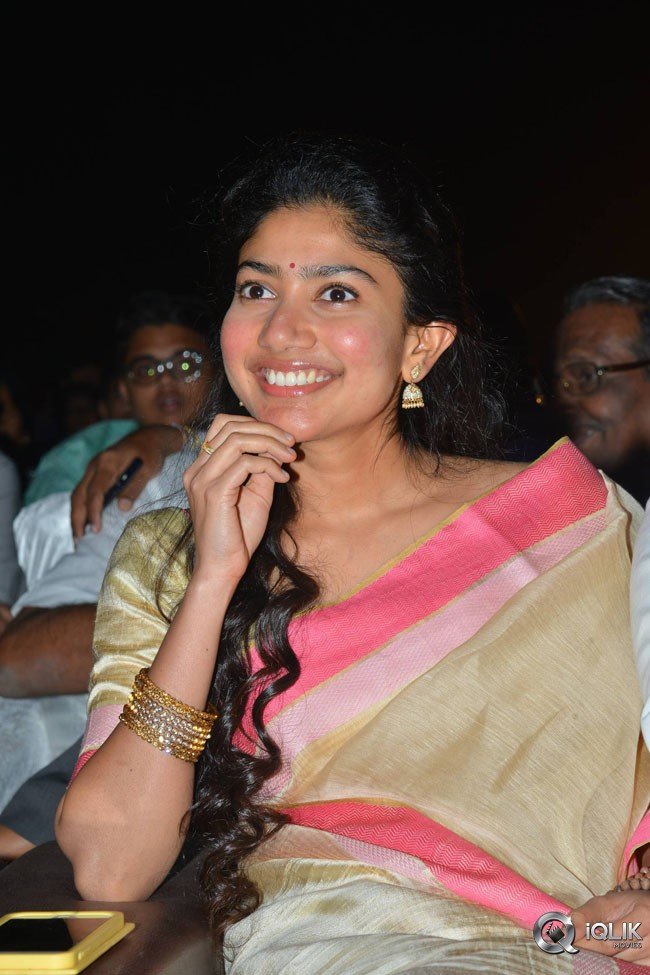 MCA-Movie-Pre-Release-Event-Photos